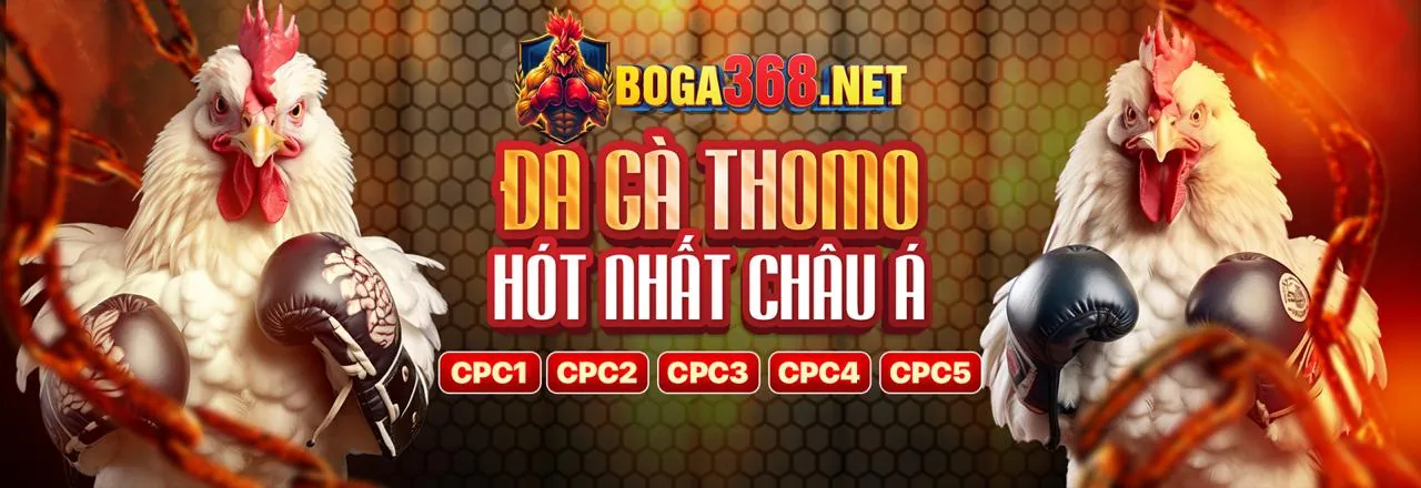 Giao dịch nạp rút tiền vb66