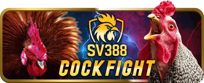 Ưu đãi đặc biệt cho VIP VB66